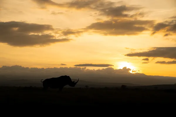 Sun Watcher thumbnail