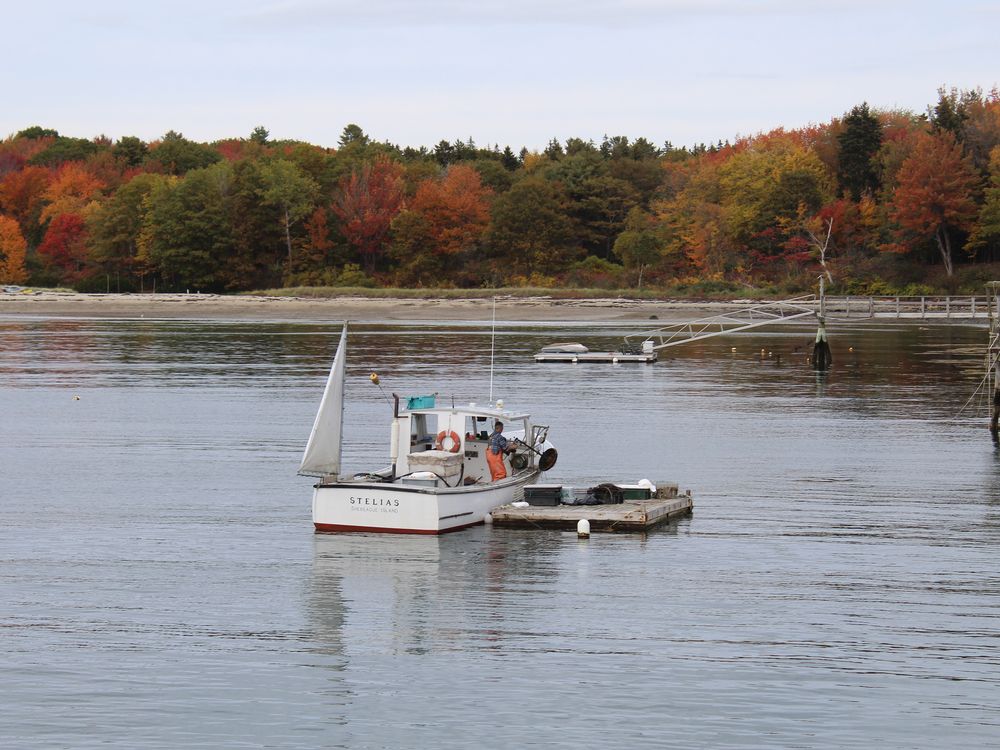 Maine Lobster Man Smithsonian Photo Contest Smithsonian Magazine