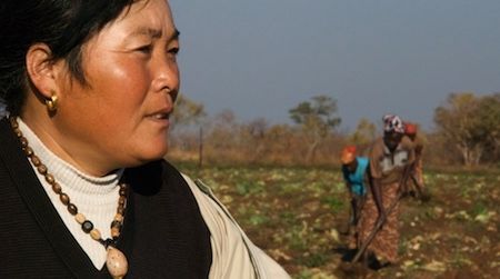 The sister-in-law of a Chinese farm owner in Zambia. China’s growing presence in Africa is documented in the 2010 film “When China Met Africa,” showing on Wednesday at the Freer Gallery.