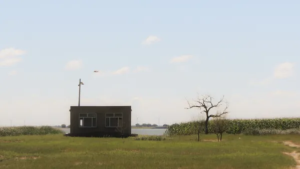 Lonely House thumbnail