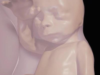 This fetus was visualized using new technology that offers a detailed view of a developing fetus using VR.