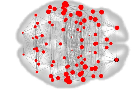 This functional connectivity map, a kind of &ldquo;fingerprint&rdquo; of the brain, displays how different regions interact with each other in 12-year-olds.&nbsp;The map was constructed from resting-state MRIs, where participants were lying down and not completing a task. Larger red circles denote brain &ldquo;nodes&rdquo; with more connections.