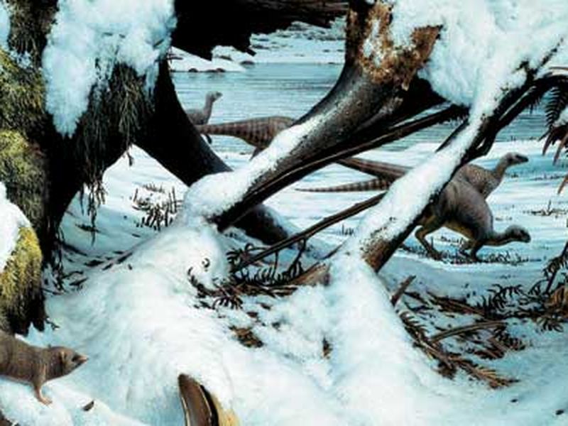 Pterosaurs Thrived In Antarctic Forests Over 100 Million Years Ago
