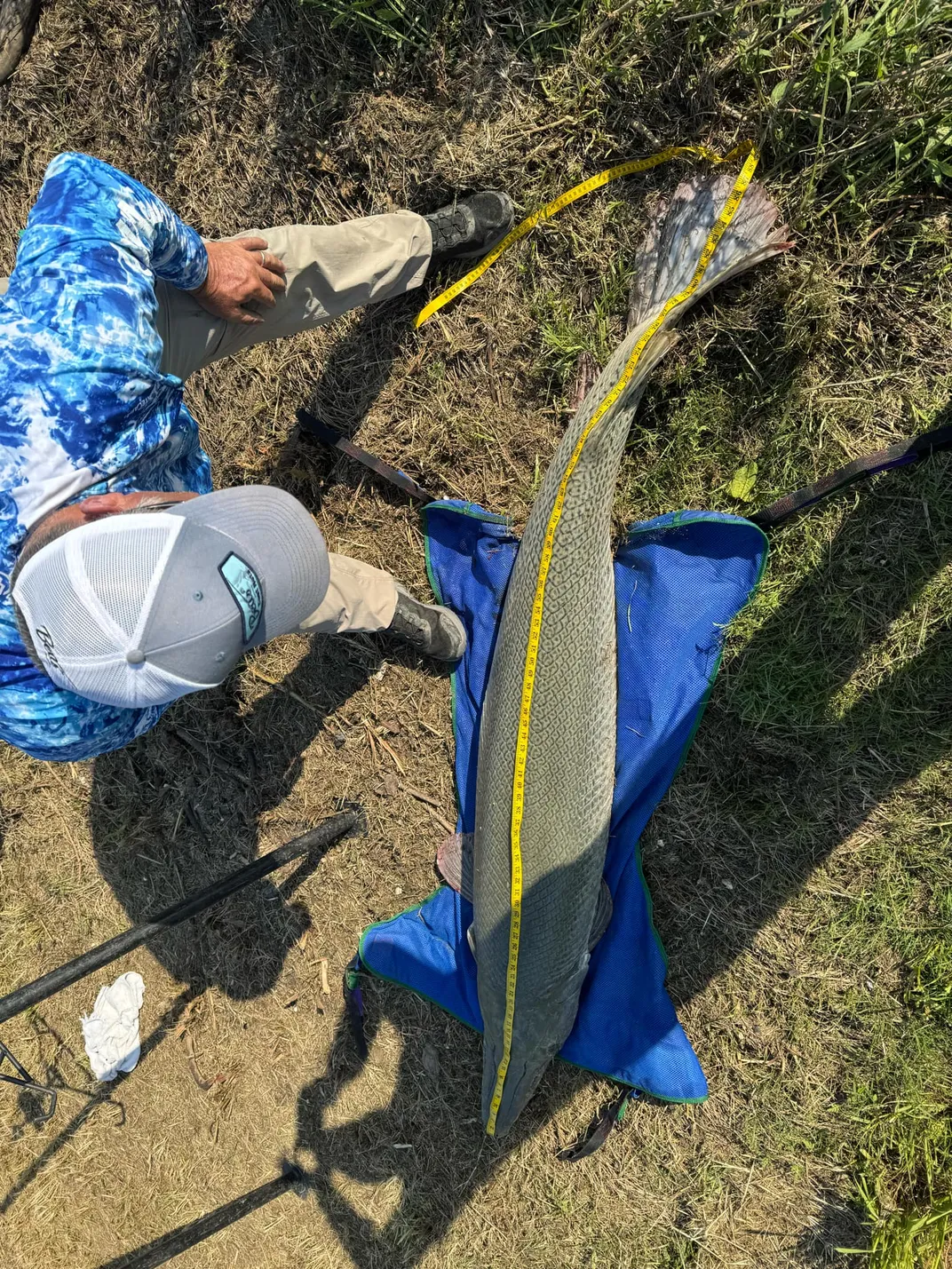 Man with a measuring tape on a fish