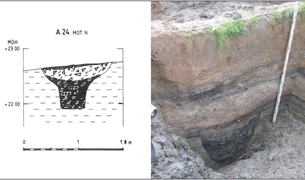 Viking Tar Pit