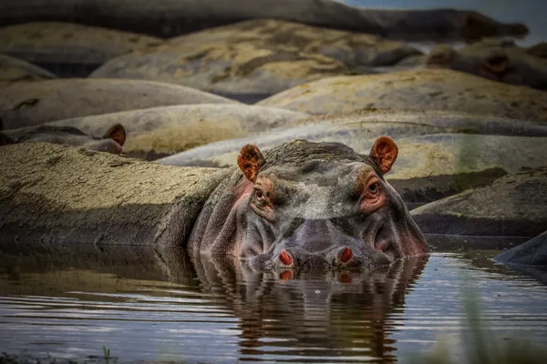 Don’t disturb thumbnail