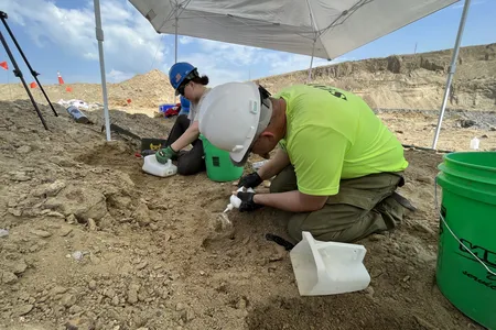 Paleontologists say the collection of uncovered bones likely represents the most complete mammoth ever found in North Dakota.