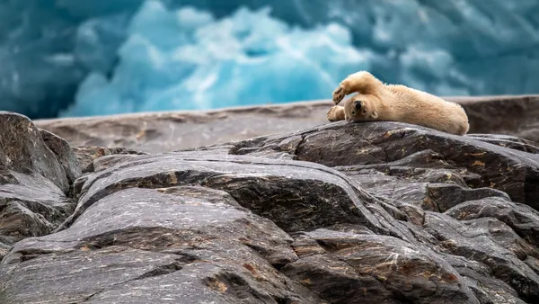 Waving goodbye thumbnail