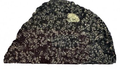 A Rare Meteorite Found in the Sahara Desert Offers Evidence of a Lost Protoplanet