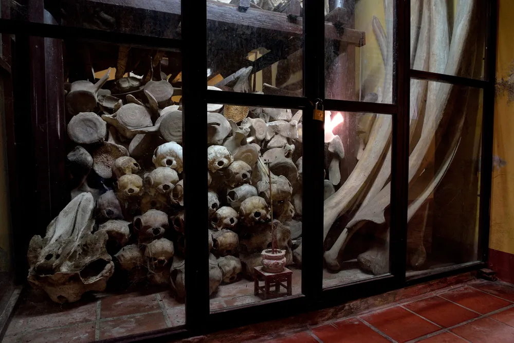 header-uncropped-vietnam-whale-temples.jpg