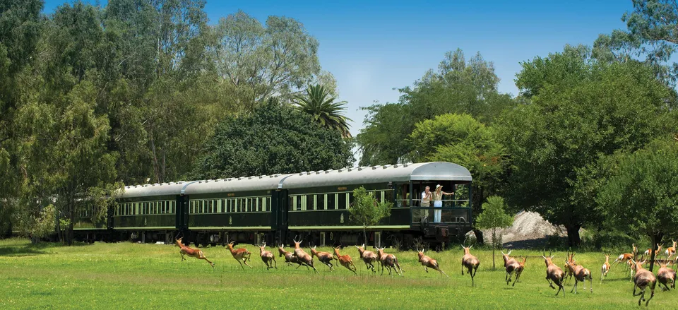  Observing wildlife from the rear of Rovos Rail 