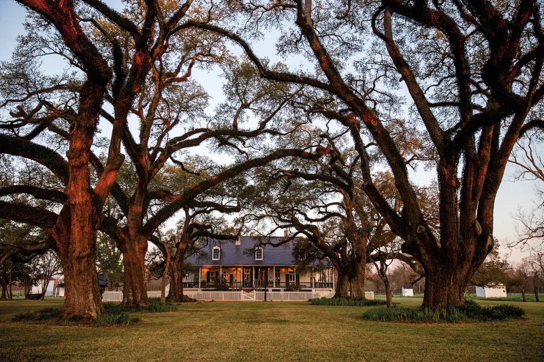 a house among large trees