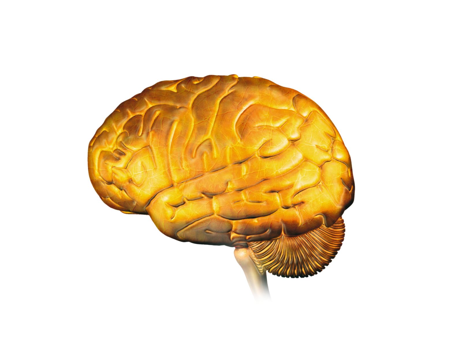 Gold Nanoparticles Can Remote Control the Brain, Smart News