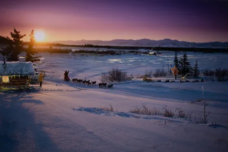 Photographer Jeff Schultz and painter Jon Van Zyle have co-created a series of artworks capturing Alaska and the sled dog community.