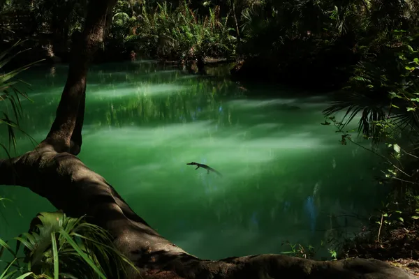 In the Green Water thumbnail