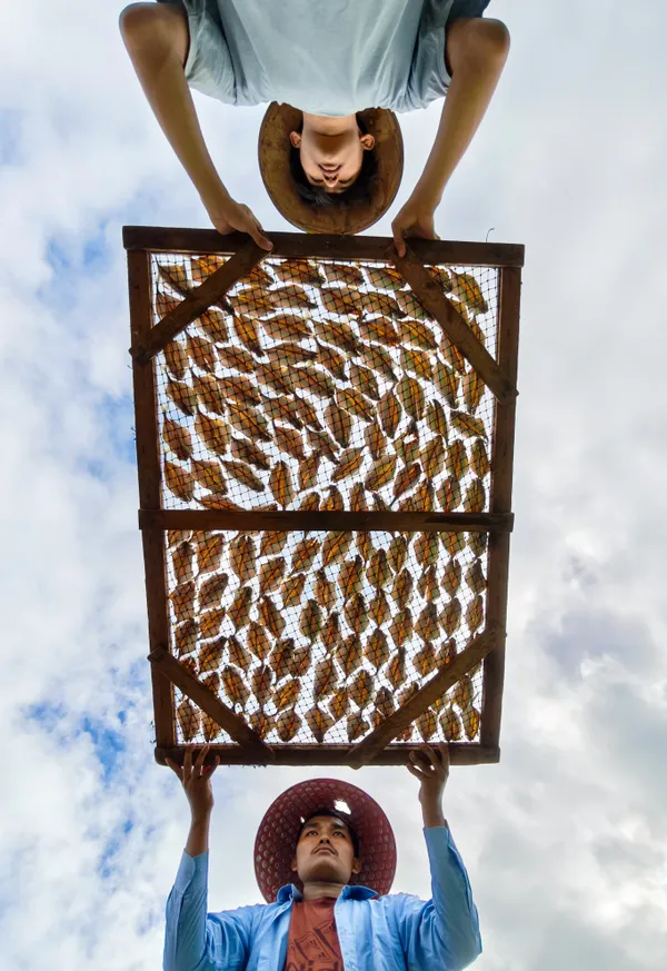 Under the open sky thumbnail