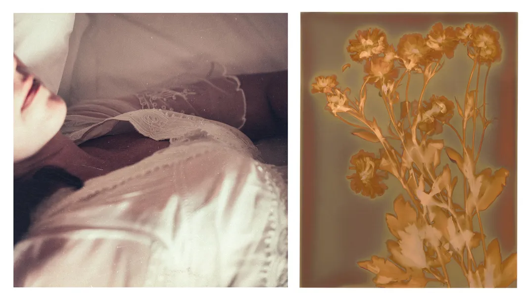 Bodice and Flowers diptych