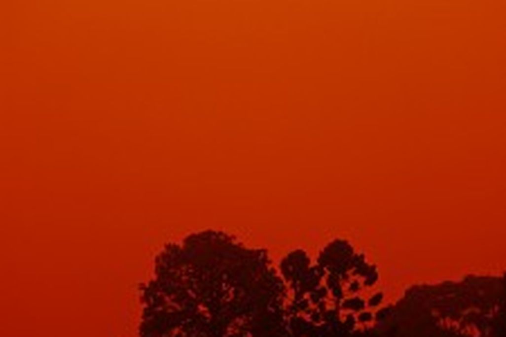 20110520102254sydney-225x300.jpg