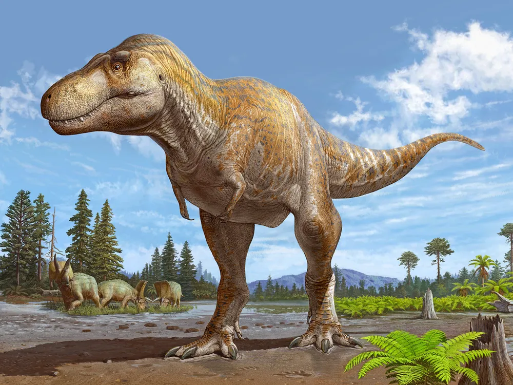 An artist's rendering of a Tyrannosaurus standing in dirt, with trees and other dinosaurs in the background