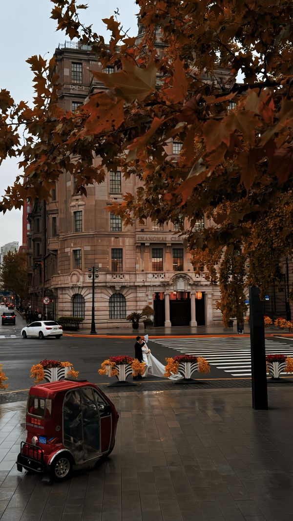 Love in Transit thumbnail