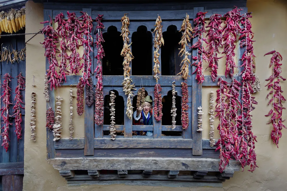 A Bhutanese woman dressed in traditional kira attire is carefully spreading spices under the sun against a backdrop of a traditional Bhutanese wall. The setting reflects the vibrant culture and resourcefulness of Bhutanese life. Bhutan, a picturesque kingdom perched atop the Himalayan hills, experiences harsh winters, compelling its people to dry and store vegetables and spices during the warmer months. This practice ensures sustenance during the extreme cold, when venturing outside becomes difficult. The scene captures a harmonious blend of tradition, resilience, and natural beauty.