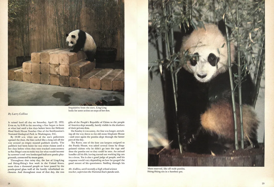 Pages from a June 1972 Smithsonian article about Ling-Ling and Hsing-Hsing