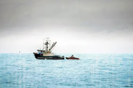 The cutter Douglas Munro and crew searching for illegal, unreported and unregulated fishing activity&mdash;including high seas drift-net fishing