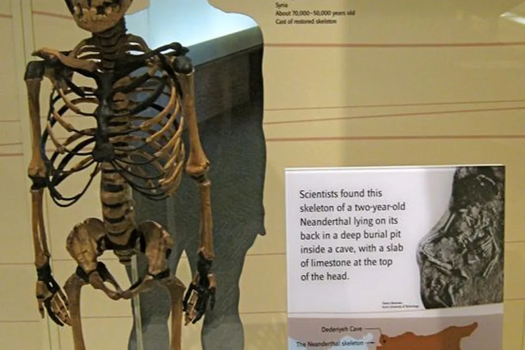 20110520102346NeanderthalChild.jpg