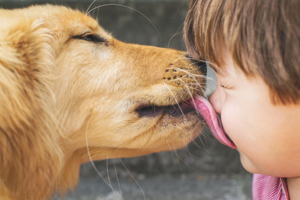 dog empathy.jpg