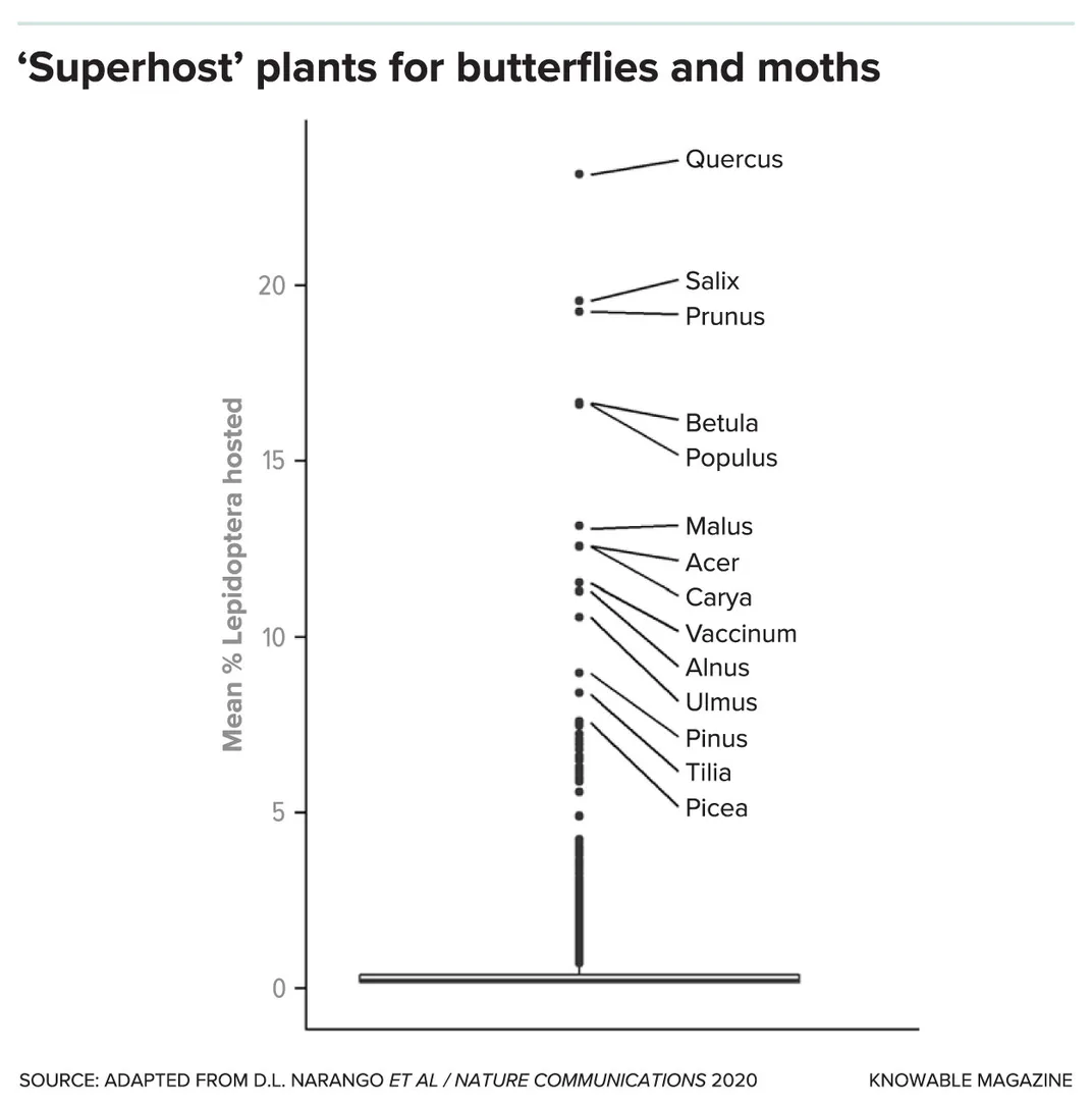 Superhost Graphic