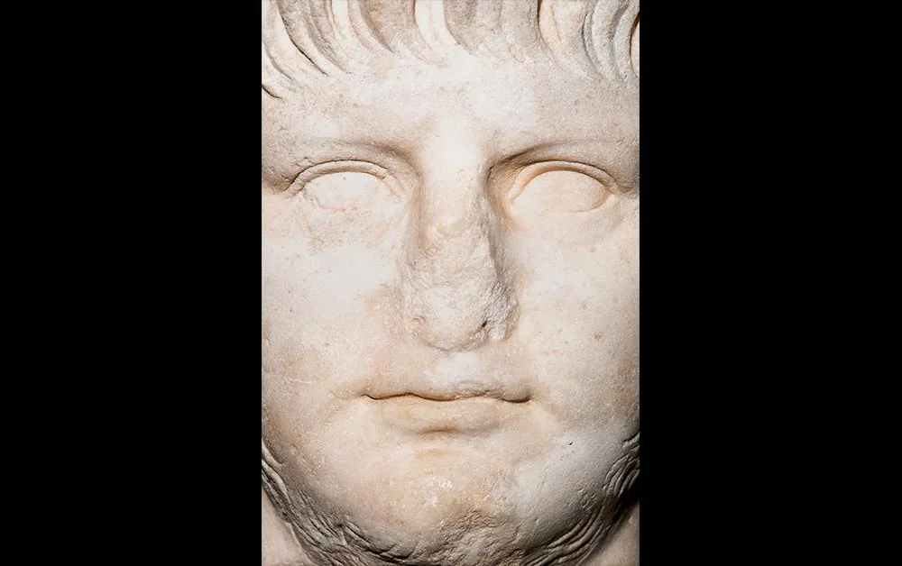 Bust of Nero social