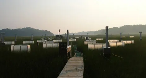 Chesapeake Bay research from 2006