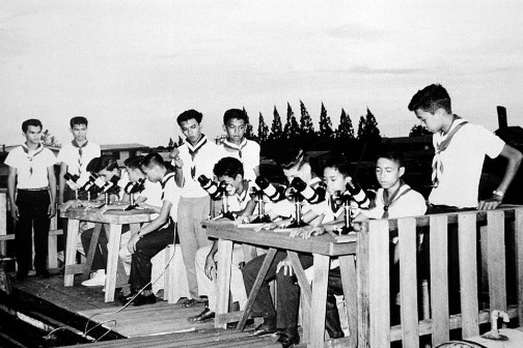 20110520102358Boy-Scouts.jpg