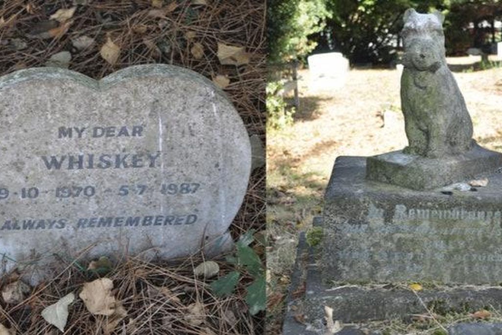 A split photo: On the left is a heart-shaped tombstone engraved with "MY DEAR WHISKEY. 9-10-1970 - 5-7-1987. ALWAYS REMEMBERED." On the right, a stone statue of a terrier sits upon a tombstone with an illegible engraving.