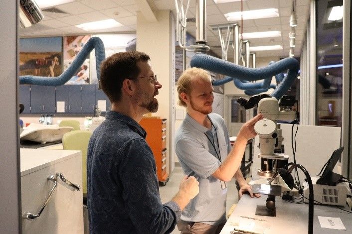 Two volunteers drawing scientific illustrations in the glass enclosed FossiLab at the Smithsonian's National Museum of Natural History. . 