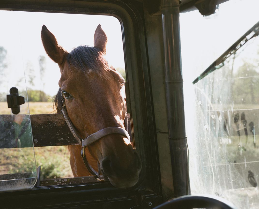 Lubash, 13, poking his head into tractor window