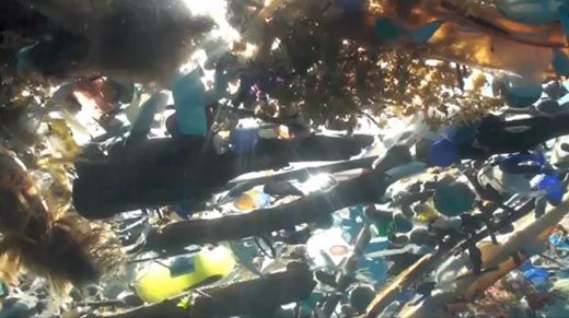 20110520110738ocean-garbage-around-the-mall.jpg