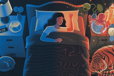 New research strives to understand what happens in the brain at the transitions between sleeping and being awake.