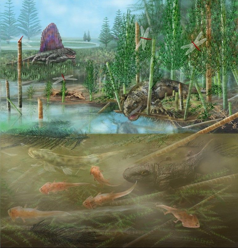 A terrestrial and aquatic prehistoric ecosystem.