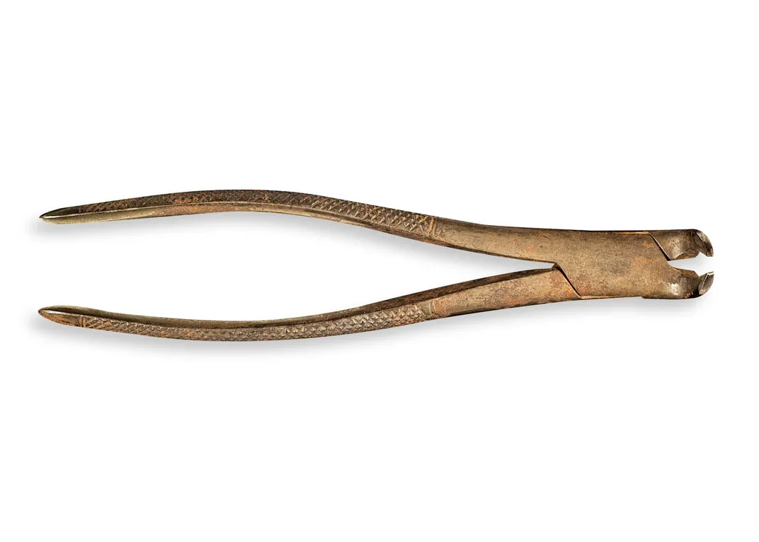 metal dental forceps