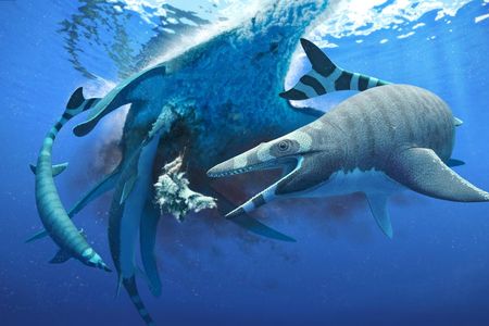 An artist's rendering of a new species of mosasaur named Xenodens calminechari. The marine reptile was about the size of a porpoise and had serrated shark-like teeth.

