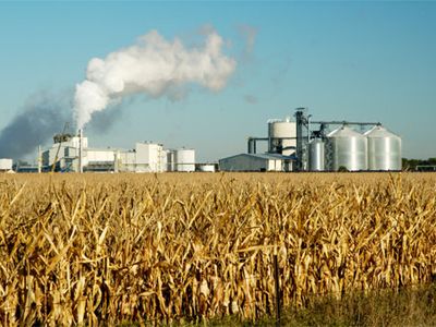 The amount of jobs and money funneling into the American Midwest could be an economic boon, says Chris Somerville. "We've gone from a couple to 150 corn-grain ethanol plants in 3 years."