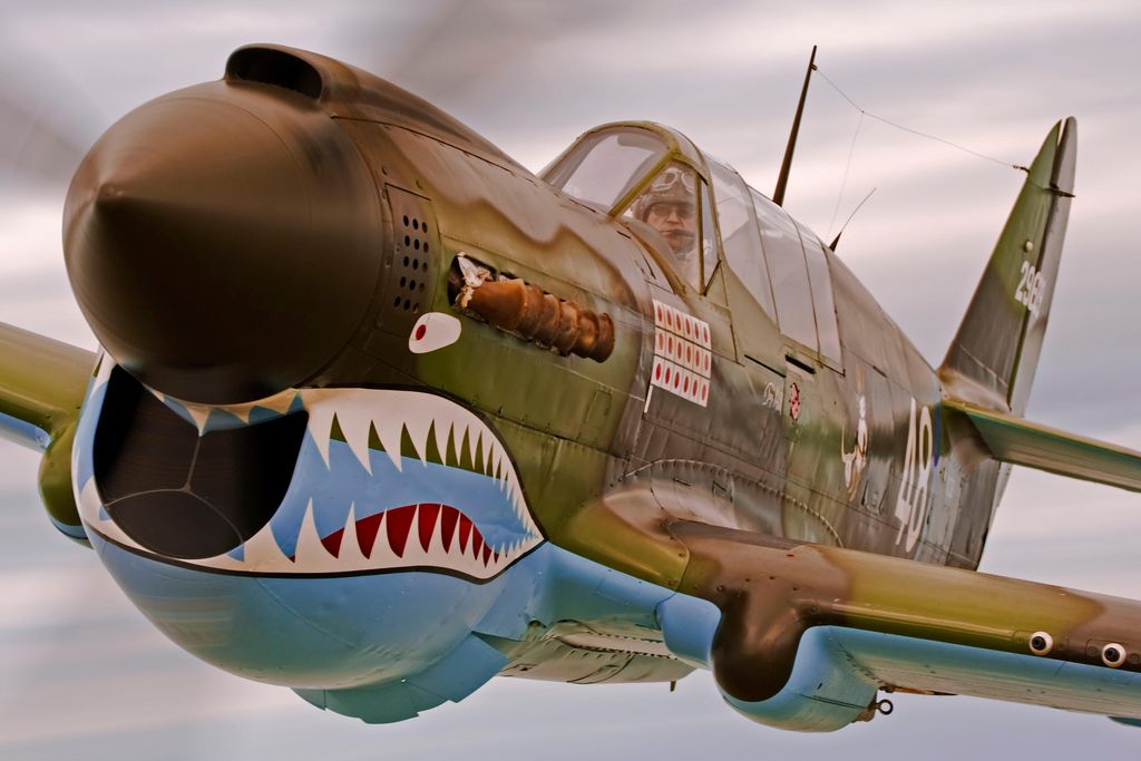 P-40 Warhawk