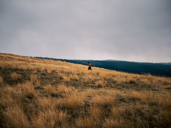 A Hunter In Montana thumbnail