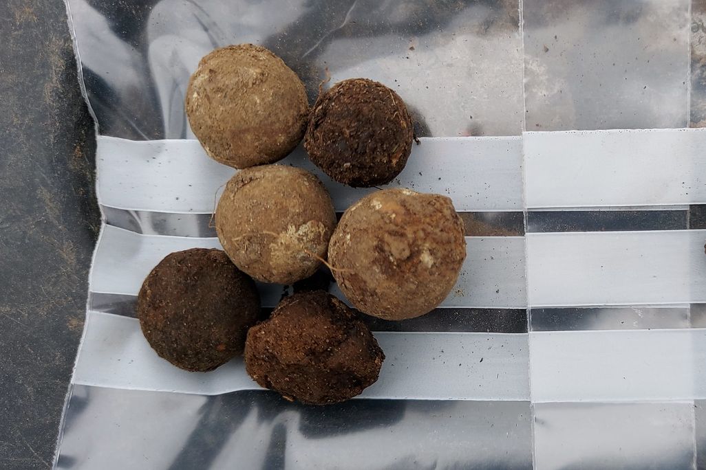 Lead ammunition against a white surface