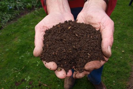 Human composting transforms corpses into nutrient-rich soil.