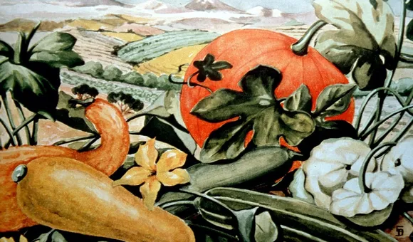 Although pumpkins and other gourds have become staples at Thanksgiving, they were not the only original crops in the Americas. Other crops domesticated around the same time, like sumpweed, little barley and goosefoot, are now gone from today’s palates. (Smithsonian)