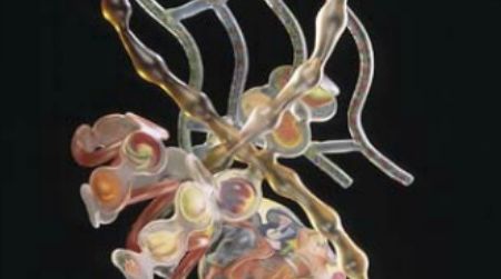 Follow glass artist Ginny Ruffner through trial and triumph in the documentary "A Not So Still Life."