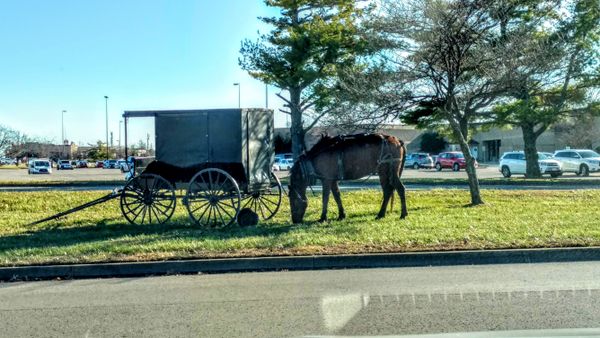 Amish horse and buggy parked at the mall thumbnail
