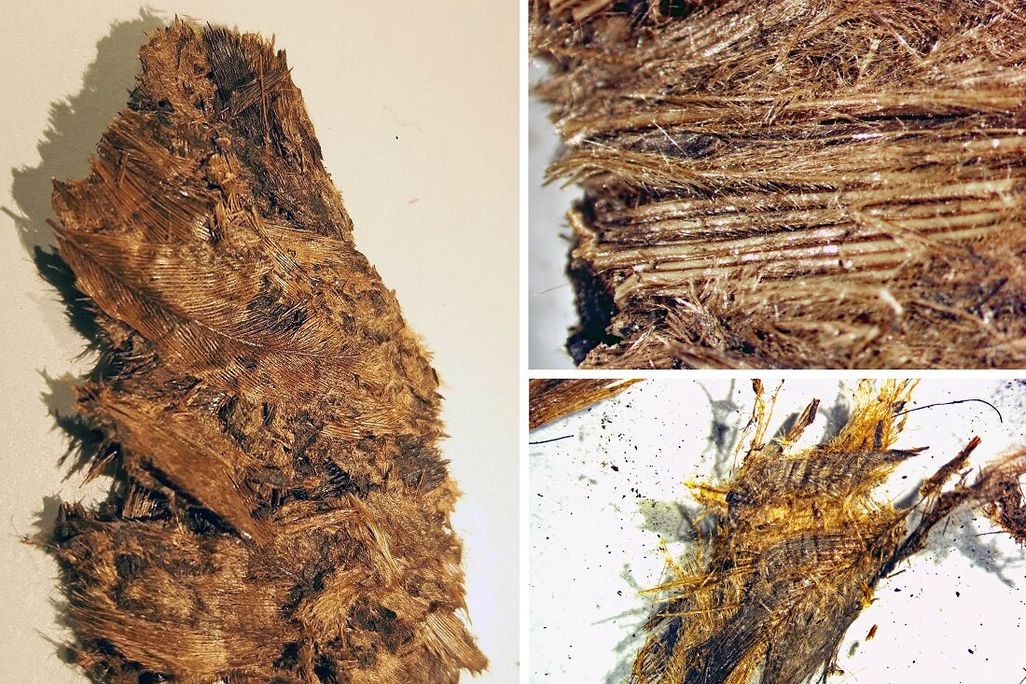 Feather bedding